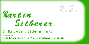 martin silberer business card